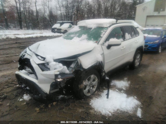 2019 Toyota RAV4, VIN: 2T3RWRFV2KW027471