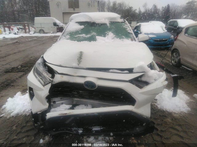 2019 Toyota RAV4, VIN: 2T3RWRFV2KW027471