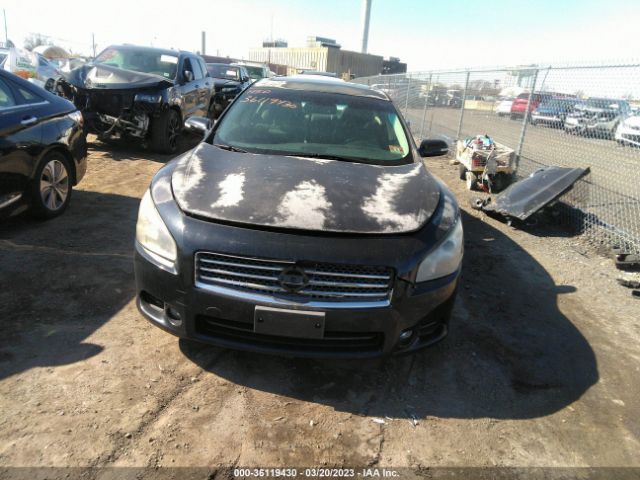 1N4AA5APXAC827682 Nissan Maxima 3.5 Sv W/sport Pkg