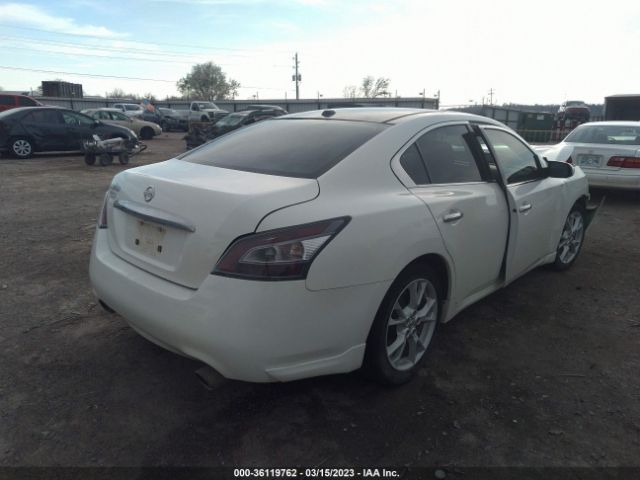 1N4AA5AP9EC909585 Nissan Maxima 3.5 Sv W/premium Pkg