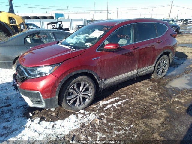 2022 Honda CR-V, VIN: 5J6RT6H98NL012451