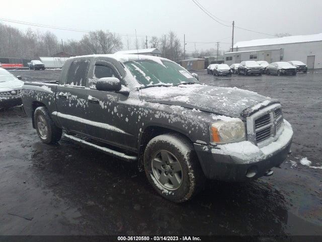 Dodge Dakota 2005 1D7HW48N35S210473 главное изображение