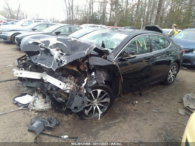 2015 ACURA TLX VIN: 19UUB1F36FA008627