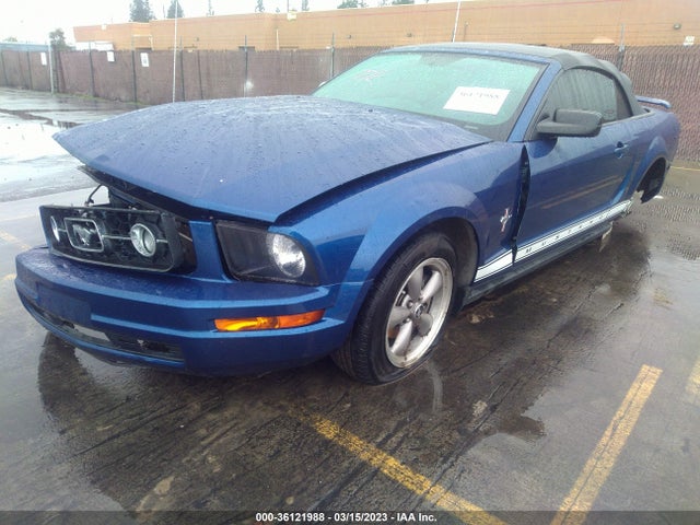 2006 FORD MUSTANG STANDARD/DELUXE/PREMIUM VIN: 1ZVHT84N065245128