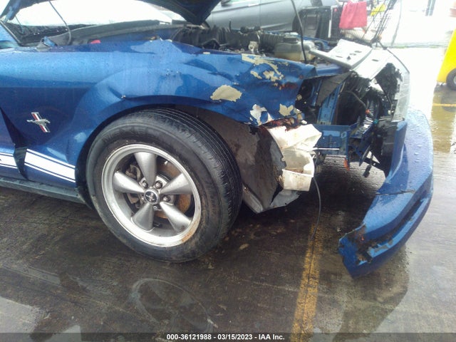 2006 FORD MUSTANG STANDARD/DELUXE/PREMIUM VIN: 1ZVHT84N065245128