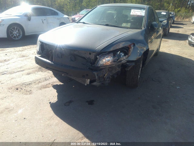 2010 HONDA ACCORD SDN LX-P VIN: 1HGCP2F44AA125157