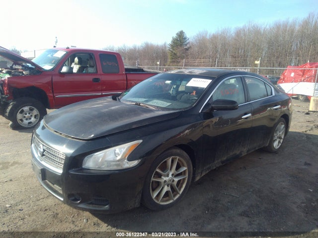 2010 NISSAN MAXIMA 3.5 S VIN: 1N4AA5AP5AC827668
