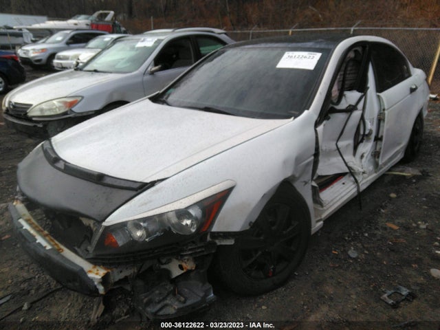2010 HONDA ACCORD SDN LX VIN: 1HGCP2F39AA148926