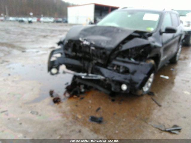 Jeep Cherokee Limited 4x4 2017 1C4PJMDB0HW520688 Image 6