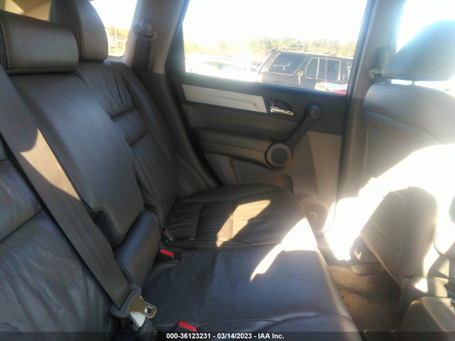 2010 HONDA CR-V EX-L VIN: 5J6RE3H76AL020176