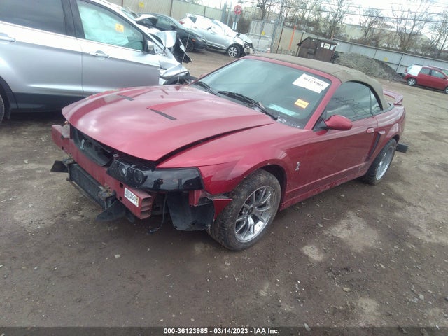 2003 FORD MUSTANG SVT COBRA VIN: 1FAFP49Y73F413496