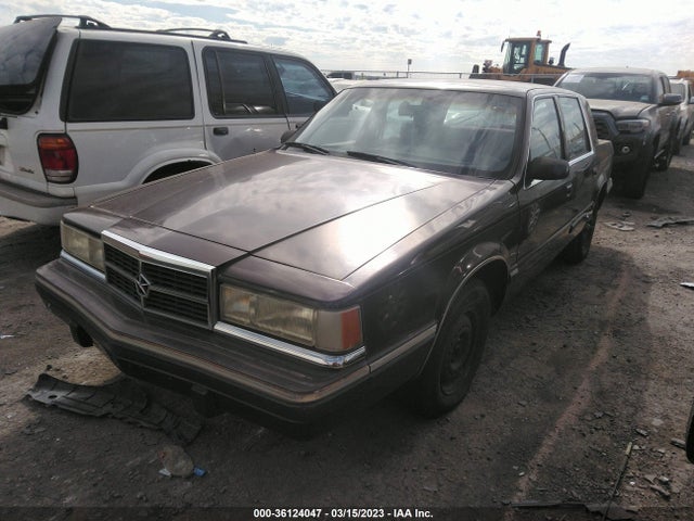 Dodge Dynasty Le 1991 1B3XC56R1MD160221 Image 2