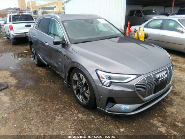 2021 Audi e-tron, VIN: WA1LAAGE9MB011861