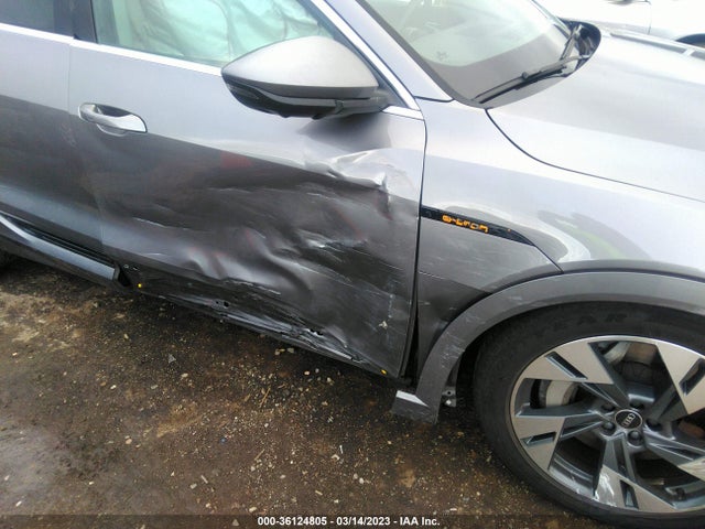 2021 Audi e-tron, VIN: WA1LAAGE9MB011861