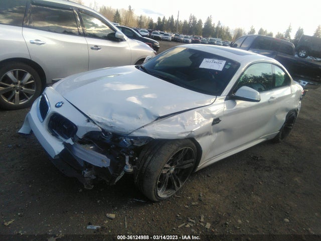 2018 BMW M2, VIN: WBS1J5C55J7B70171