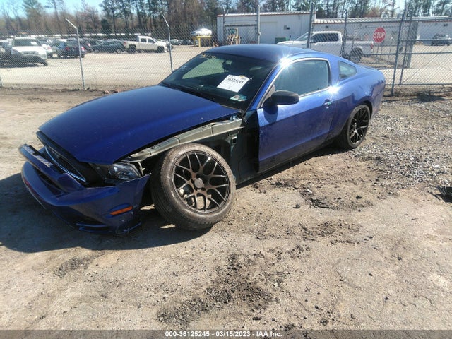 Ford Mustang V6 2014 1ZVBP8AM2E5235172 Image 2