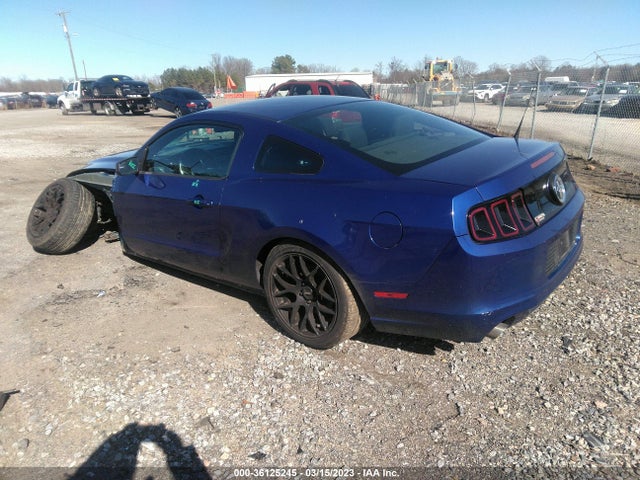 Ford Mustang V6 2014 1ZVBP8AM2E5235172 Image 4