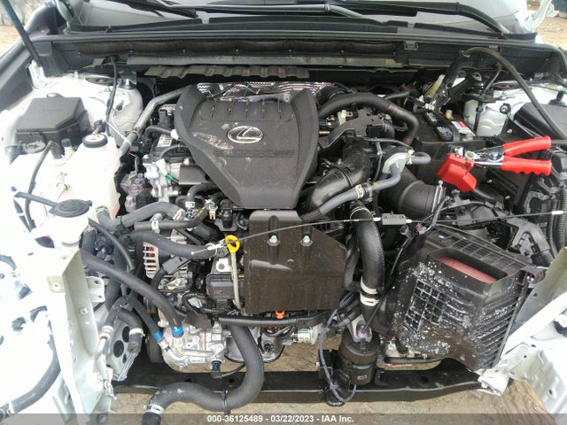 2022 Lexus NX, VIN: 2T2AGCEZ3NC009387