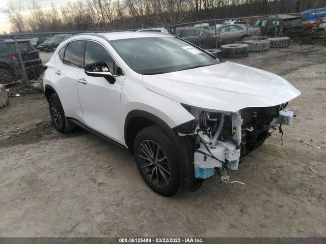 2022 Lexus NX, VIN: 2T2AGCEZ3NC009387