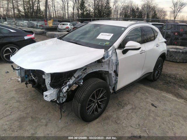 2022 Lexus NX, VIN: 2T2AGCEZ3NC009387