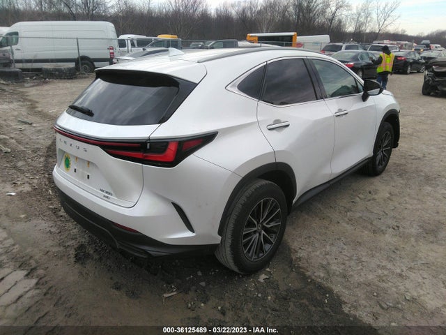 2022 Lexus NX, VIN: 2T2AGCEZ3NC009387