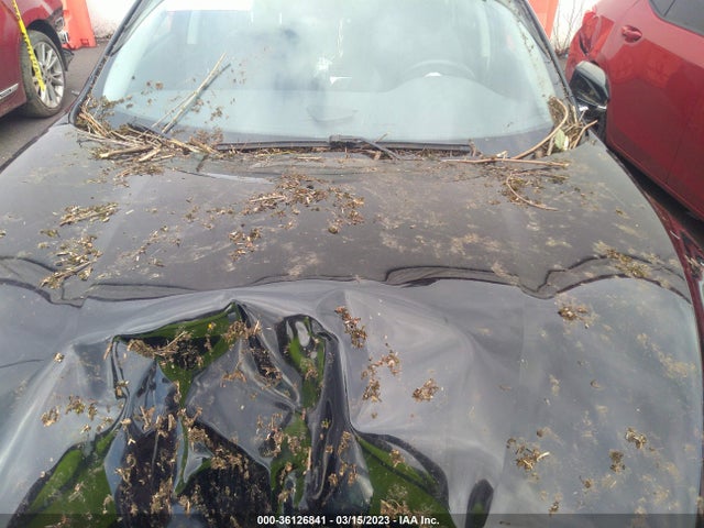 Honda Insight Touring 2019 19XZE4F96KE006806 Image 10