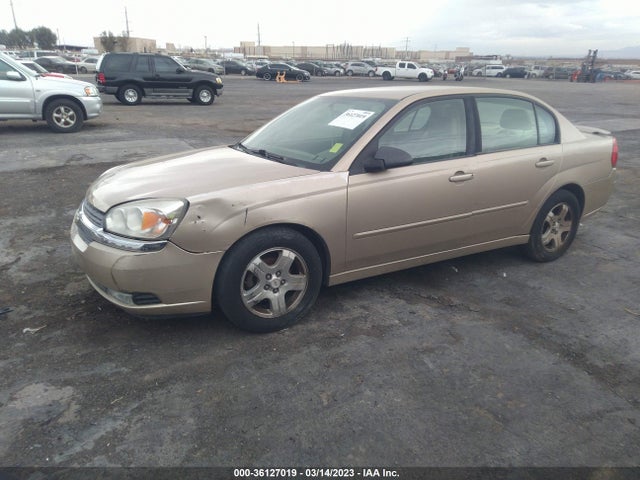 Chevrolet MALIBU LT 2004 1G1ZU54864F111222 Image 2