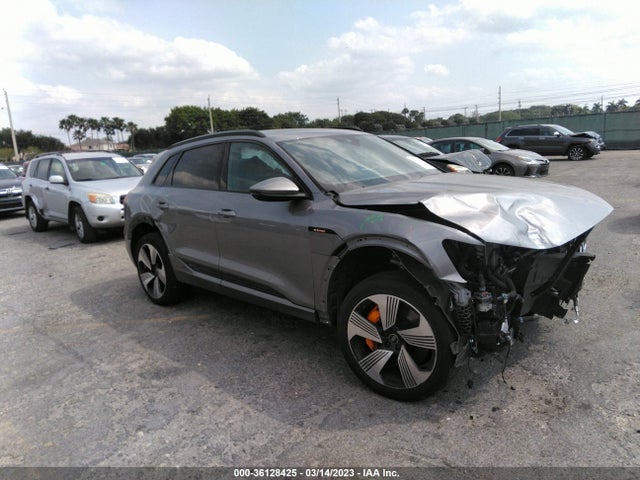 2022 Audi e-tron, VIN: WA1LAAGE2NB012285