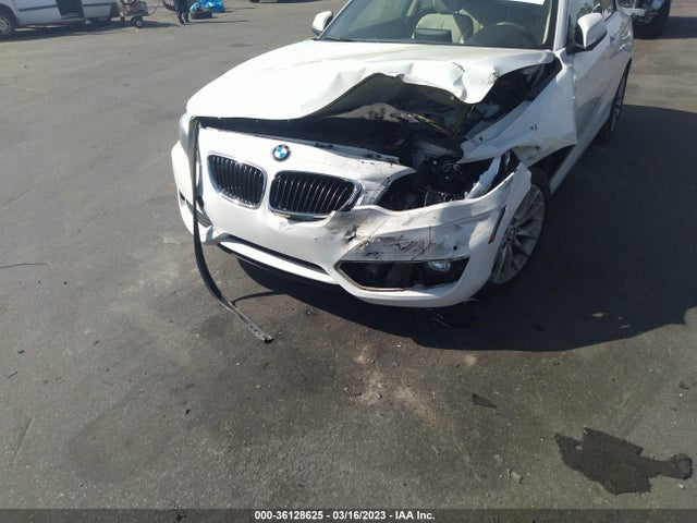 2015 BMW 2 Series, VIN: WBA1F5C51FV257085