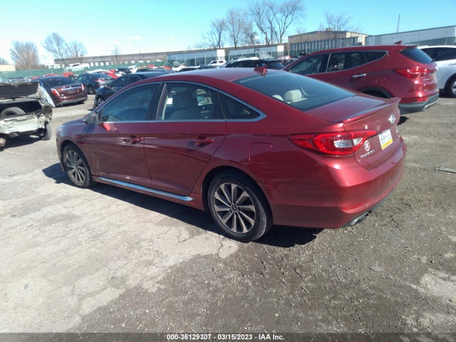 Hyundai Sonata 2.4l Sport 2016 5NPE34AF9GH328182 Image 4