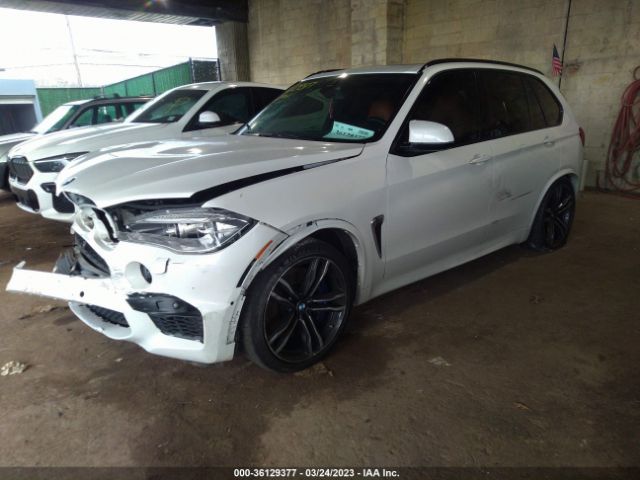 5YMKT6C55J0X21076 BMW X5 M
