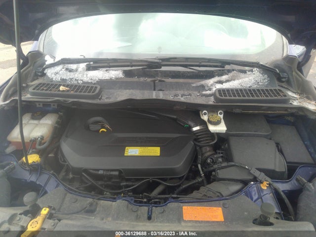 Ford ESCAPE SE 2014 1FMCU9GX9EUB30816 Image 11