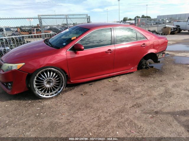 4T1BF1FK8EU772683 Toyota Camry L/le/xle/se/se Sport