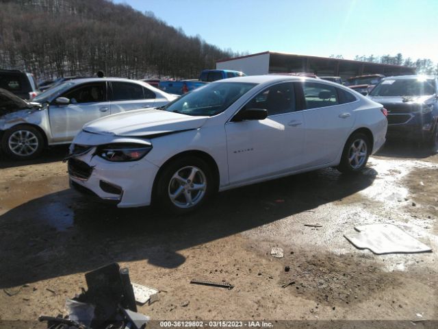 1G1ZB5ST2GF231696 Chevrolet MALIBU LS