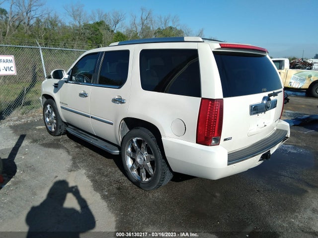 2009 CADILLAC ESCALADE VIN: 1GYFC23289R201156