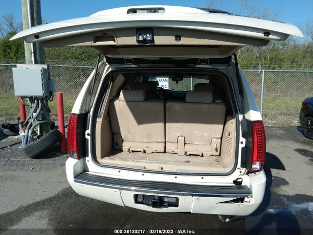 2009 CADILLAC ESCALADE VIN: 1GYFC23289R201156