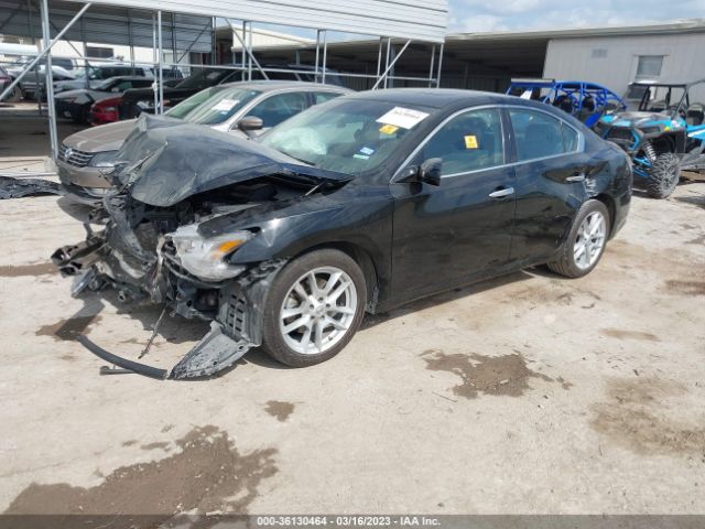 1N4AA5AP1EC444090 Nissan Maxima 3.5 S