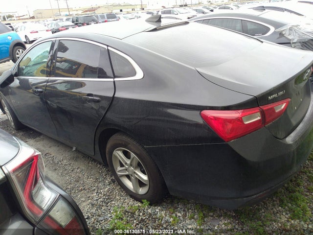 Chevrolet MALIBU LS 2019 1G1ZB5ST7KF194590 Image 3