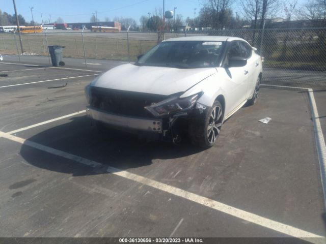 1N4AA6AP8GC436089 Nissan MAXIMA 3.5