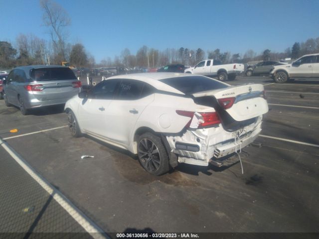 1N4AA6AP8GC436089 Nissan MAXIMA 3.5