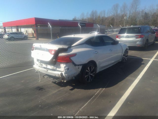 1N4AA6AP8GC436089 Nissan MAXIMA 3.5