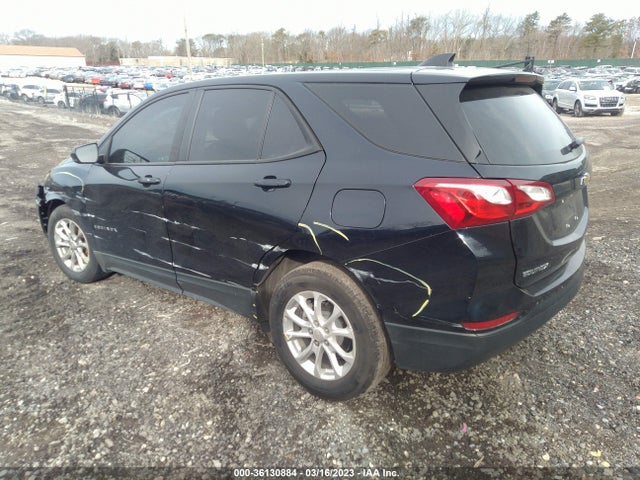 2021 CHEVROLET EQUINOX LS VIN: 3GNAXHEV8MS101179