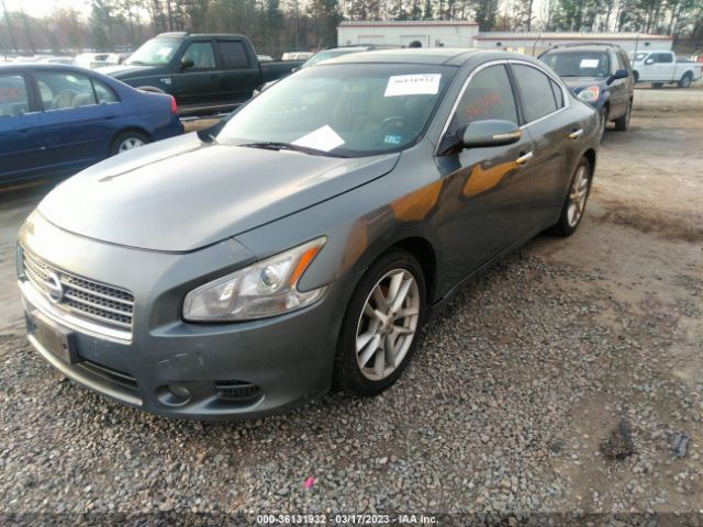 1N4AA51E89C857581 Nissan Maxima 3.5 Sv W/premium Pkg