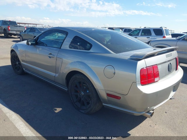 2009 FORD MUSTANG GT VIN: 1ZVHT82H795119902