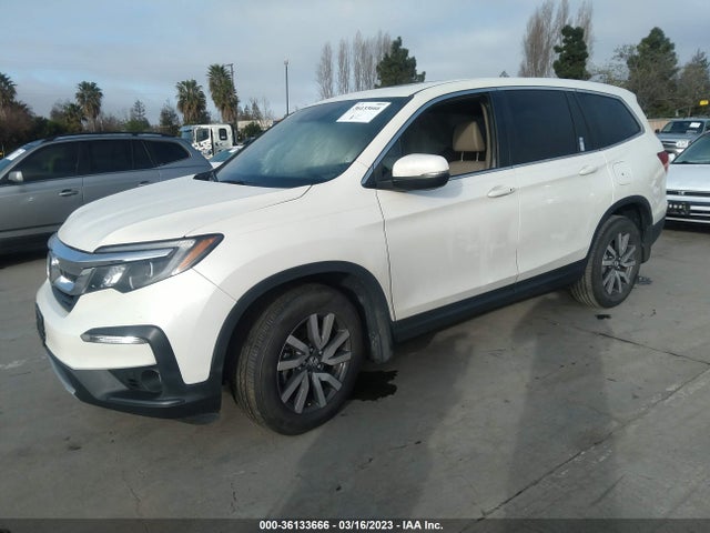 Honda Pilot Ex-l 2019 5FNYF6H55KB056332 Image 2