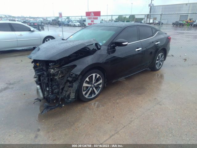 1N4AA6AP3GC423380 Nissan Maxima 3.5 Sv