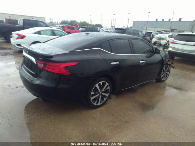 1N4AA6AP3GC423380 Nissan Maxima 3.5 Sv