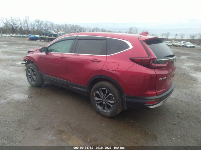 Honda Cr-v Ex-l 2020 2HKRW2H81LH637367 Image 3