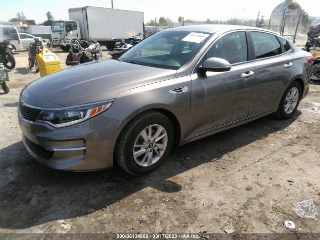 5XXGT4L32JG231646 KIA Optima Lx