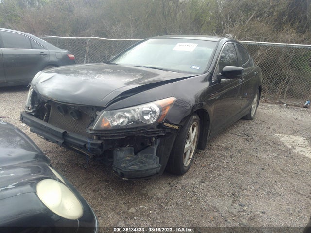 2010 HONDA ACCORD SDN LX VIN: 1HGCP2F31AA083893